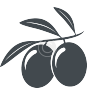 icon-1.png